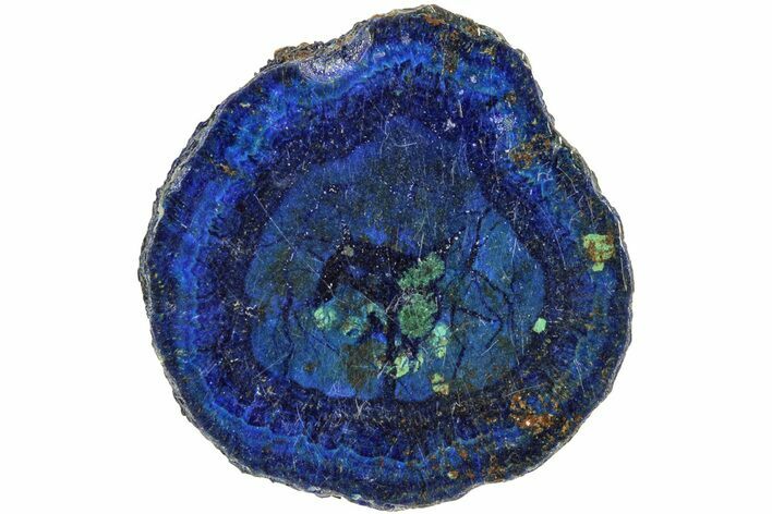 Vivid Blue, Cut/Polished Azurite & Malachite Nodule Slice #209479